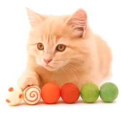 nostre palline di feltro deliziano i gatti con il loro profumo naturale