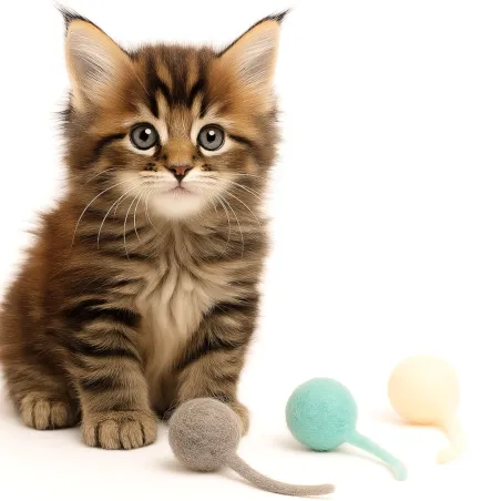 Jouets pour chats Balle en feutre Puschel
