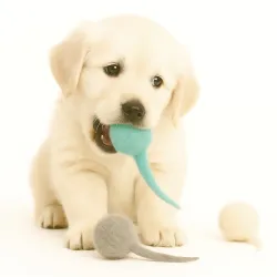 Jouets pour chiens Balle en feutre Puschel