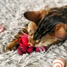 Katzenspielzeug Filzlocke Rottönen, 1m  pures Katzenglück am Stück