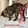Katzenspielzeug Filzlocke Rottönen, 1m  pures Katzenglück am Stück