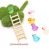Miniature ducks, decorative for gnomes, bathing ducks miniature