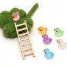 Miniature ducks, decorative for gnomes, bathing ducks miniature
