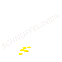 Chips pour Tomte, lutins et gnomes, 5x chips