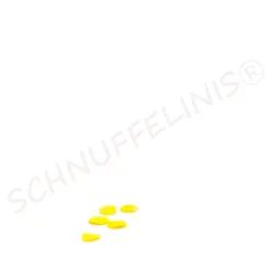 Miniature chips 5pcs., mini potato chips set, tiny chips set of 5pcs.