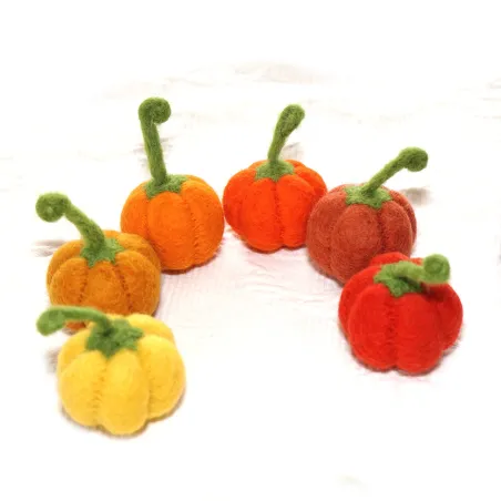 Decorazioni autunnali zucca, Zucca per Grimms, Feltro Spina Albero Anelli