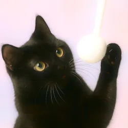 Palla di feltro giocattolo per gatti Puschel, i gatti amano il feltro!