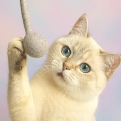Palla di feltro giocattolo per gatti Puschel, i gatti amano il feltro!