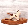 Cat wood plug annual rings white brown