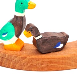 Canard Motif broche Anneaux annuels, Anneaux annuels Canard