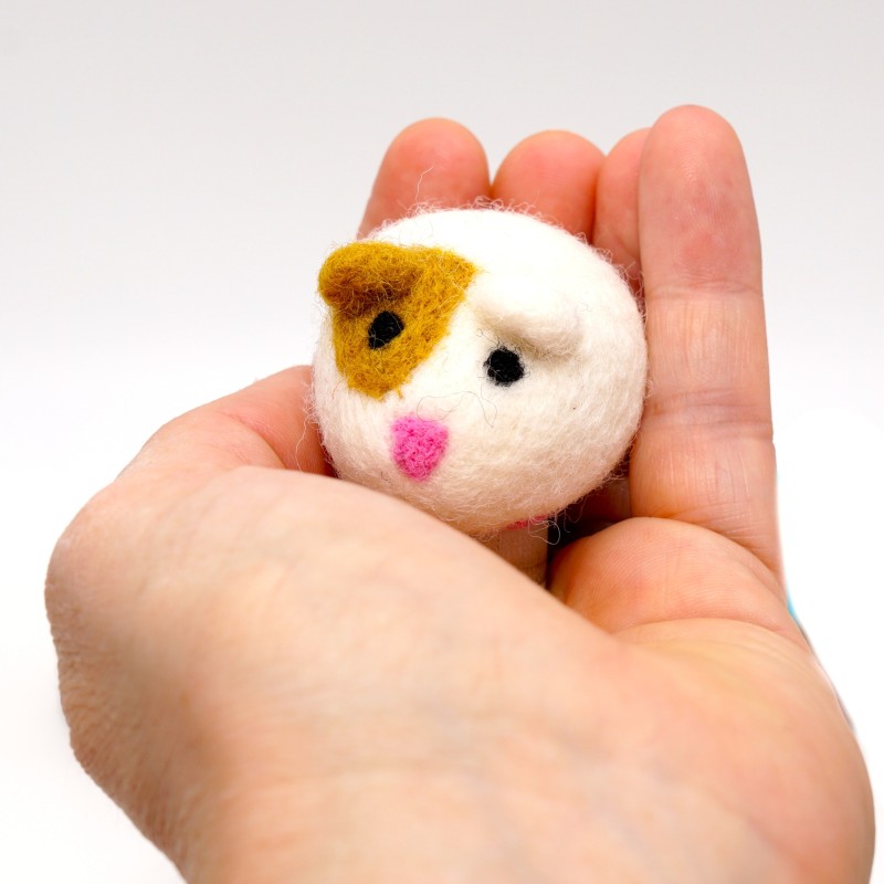 Guinea pig birthday Mausi Schnuffelinis