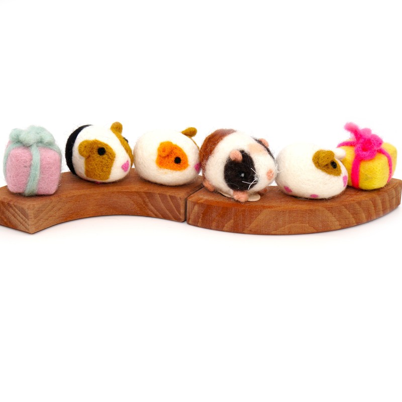 Guinea pig birthday Knödel Schnuffelinis