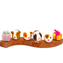 Guinea pig birthday Knödel Schnuffelinis