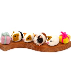 Guinea pig birthday Puschel Schnuffelinis