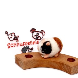 Guinea pig birthday Puschel Schnuffelinis