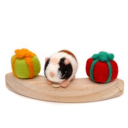 Guinea pig birthday Puschel Schnuffelinis