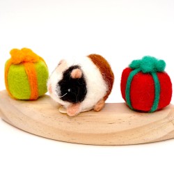 Guinea pig birthday Puschel Schnuffelinis