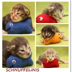 Filzkugeln Baby Mobiles DIY Regenbogen