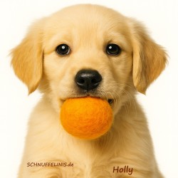 Apportierbälle Hund Filzbälle n6 Schnuffelinis