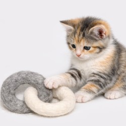 Filzringe Katzen verbunden – Schnuffelinis