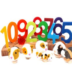 Zahlenstecker 9 Grimms Jahresringe