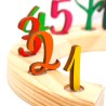 Wooden numbers set plugs for Birthday Rings