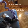 cat toys felt spiral XL