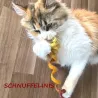 Giocattolo per gatti in feltro a spirale