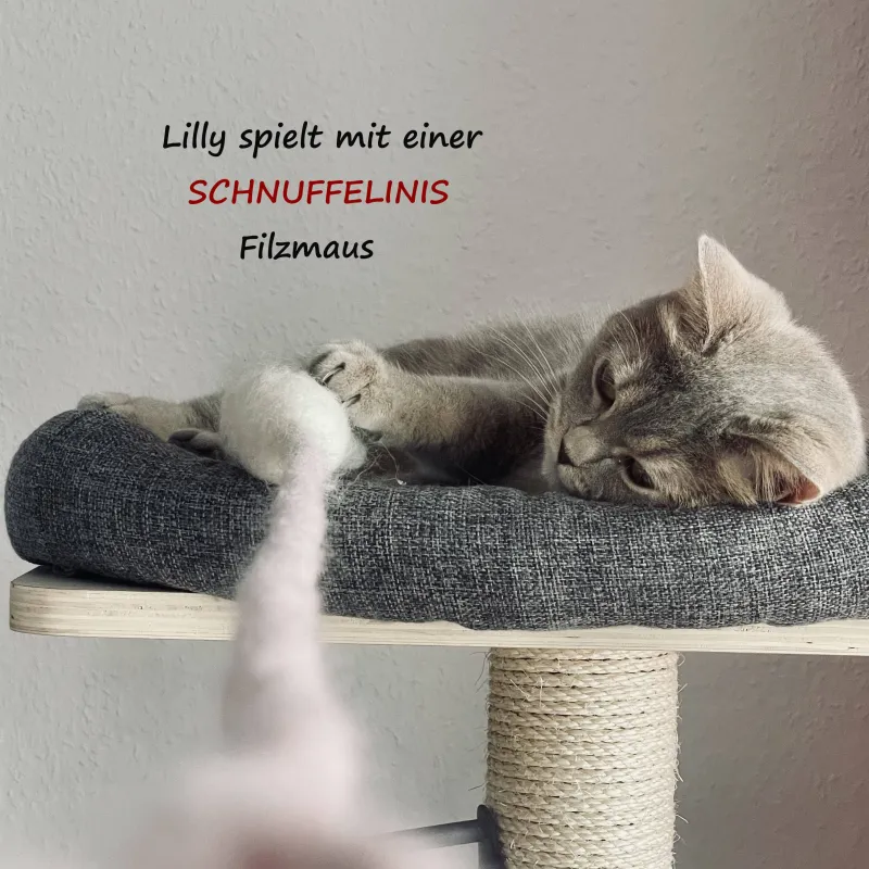 Katzenspielzeug, Maus aus Filz, weisse Mäuse, Filmaus für Katzen